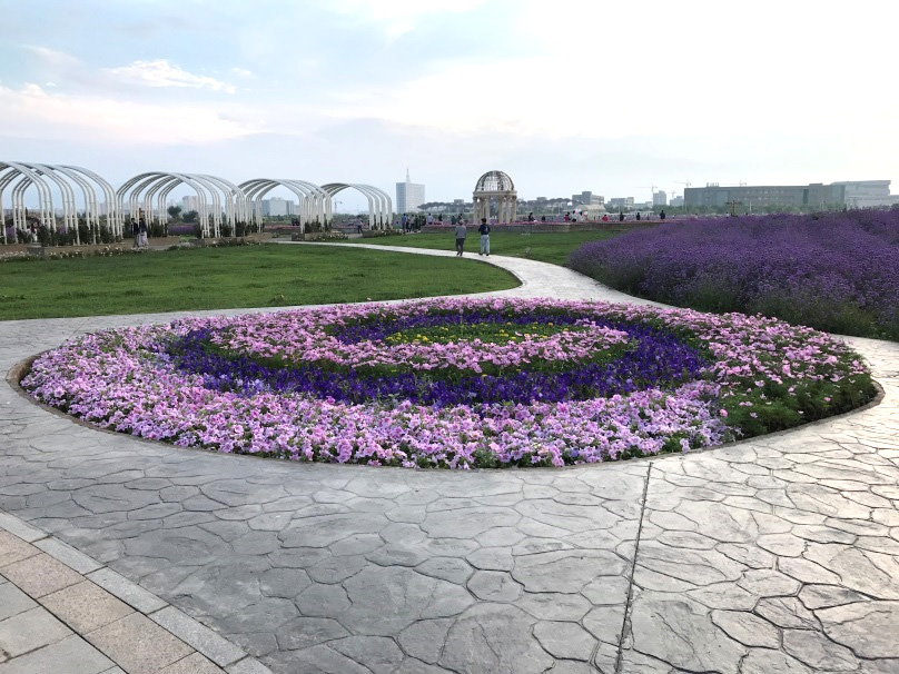 金川區(qū)紫金花卉示范種植基地